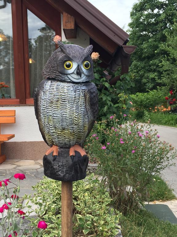 House Samardzic Hotell Jezerce Exteriör bild
