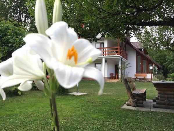 House Samardzic Hotell Jezerce Exteriör bild